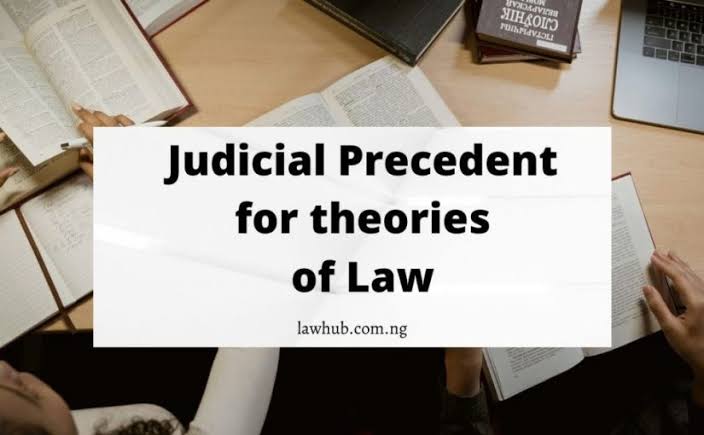 Judicial Precedents Case laws for Theories of Law NG LawGlobal Hub
