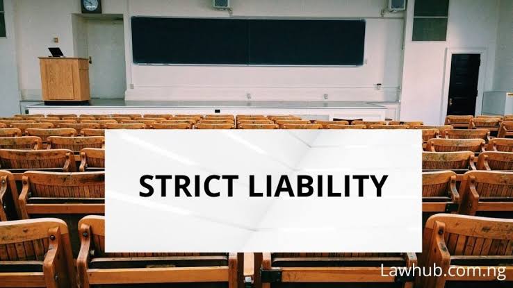 Strict Liability (Law of Tort) NG