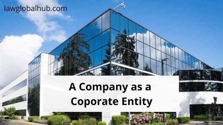 company as legal entity