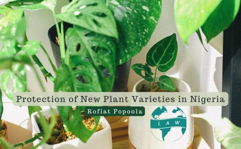 Protection of New Plant Varieties in Nigeria – Rofiat Popoola