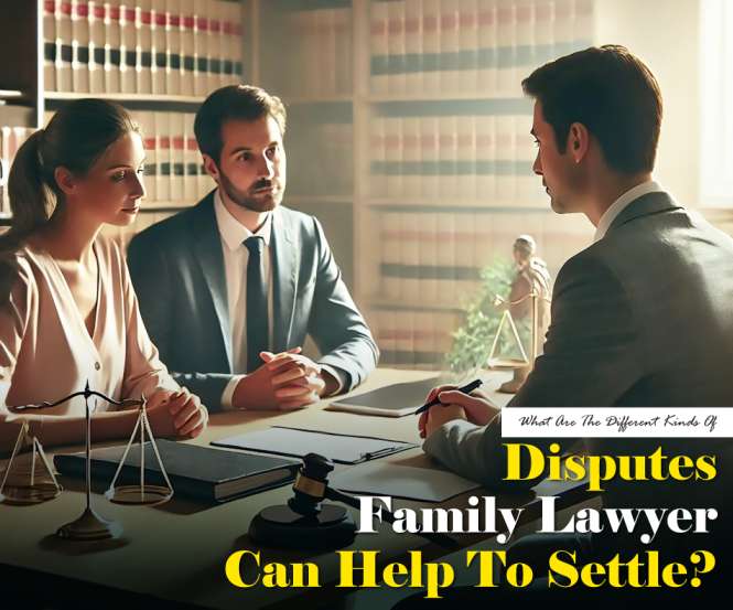 What are the Different Kinds of Disputes a Family Lawyer Can Help to Settle?